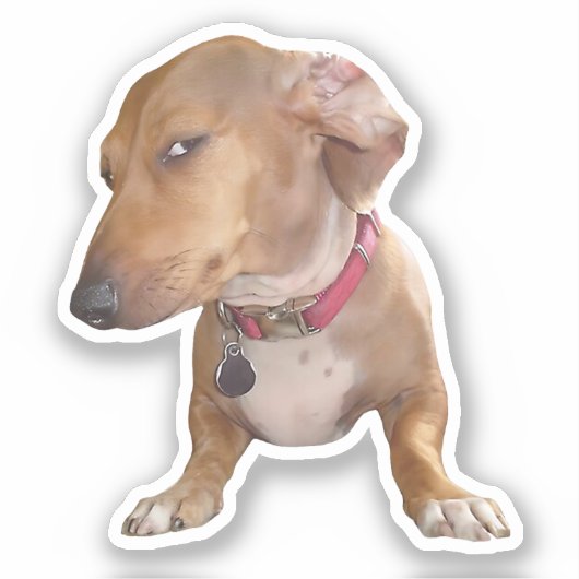 Sticker Side Eye Dog Meme (Voorkant)