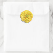 Sticker - Snoep Stripe Zinnia (Tas)