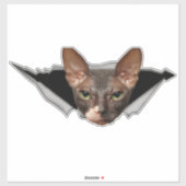 Sticker Sphynx sticker Sphynx decal (Vel)