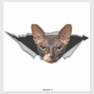 Sticker Sphynx sticker Sphynx decal