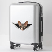 Sticker Sphynx sticker Sphynx decal (Koffer)
