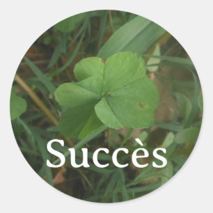 Sticker Succes