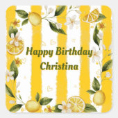 Sticker Summer Birthday Party Collectie (Voorkant)