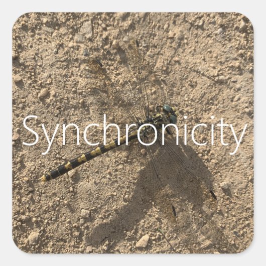 Sticker 'Synchronicity' (Voorkant)