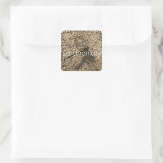 Sticker 'Synchronicity' (Tas)