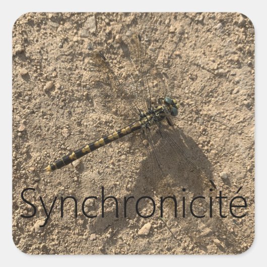Sticker 'Syncronic' (Voorkant)
