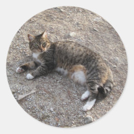 Sticker: Tabby Cat Rusting Ronde Sticker