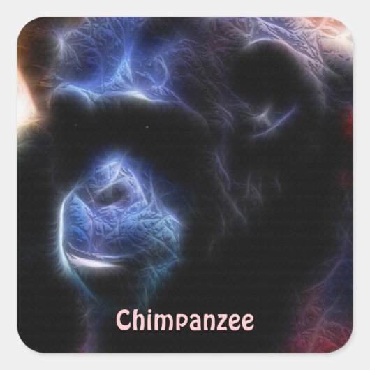 Sticker van bedreigde chimpansees in Afrika (Voorkant)