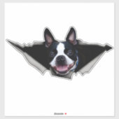 Sticker van Boston Terrier, sticker (Vel)