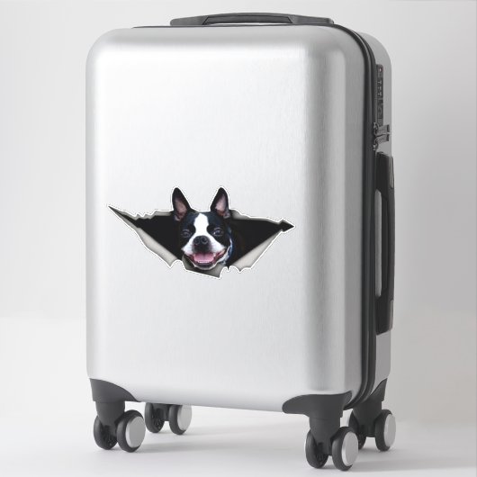 Sticker van Boston Terrier, sticker (Koffer)