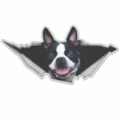 Sticker van Boston Terrier, sticker (Voorkant)