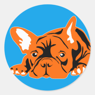 Sticker van Bulldog binnenshuis