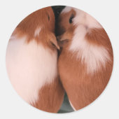 sticker van cavia ' s (Voorkant)