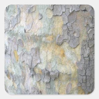 Sticker van de London Plane Tree Bark