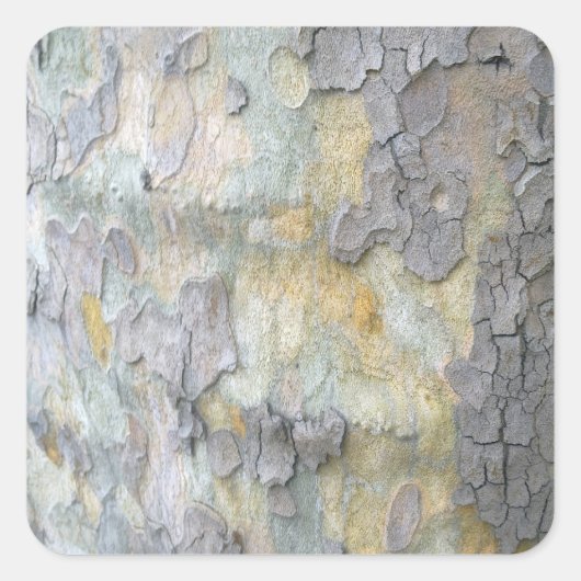 Sticker van de London Plane Tree Bark (Voorkant)