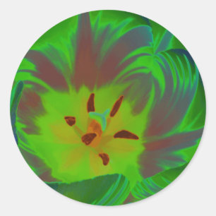 Sticker van de Tulp van de mysticus de Groene