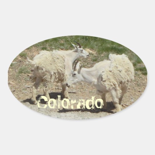 Sticker van geit van colorado (Voorkant)