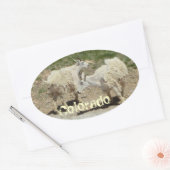 Sticker van geit van colorado (Envelop)
