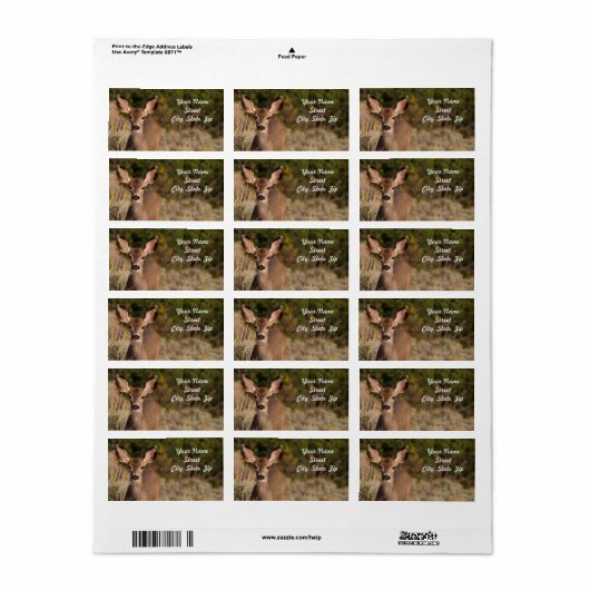 Sticker van het Adres van Deer (Full Sheet)