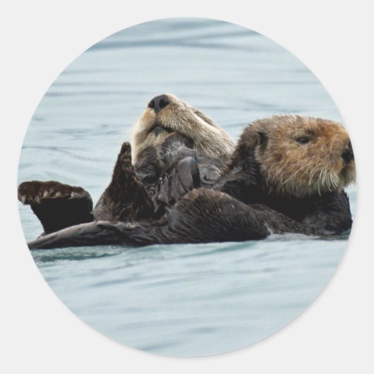 Sticker van otters (Voorkant)