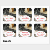Sticker van relaxte katten door RoseWrites (Vel)