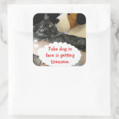 Sticker van relaxte katten door RoseWrites (Tas)