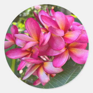 Sticker van tropische bloemen