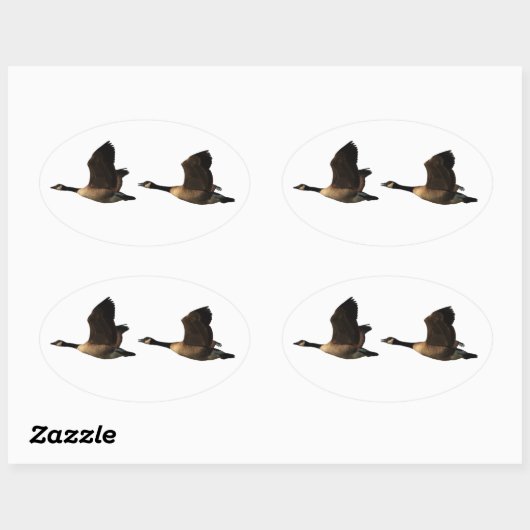 Sticker van vliegende ganzen (Vel)