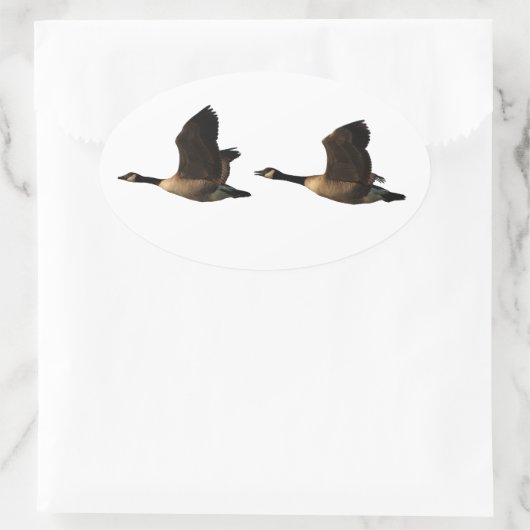 Sticker van vliegende ganzen (Tas)