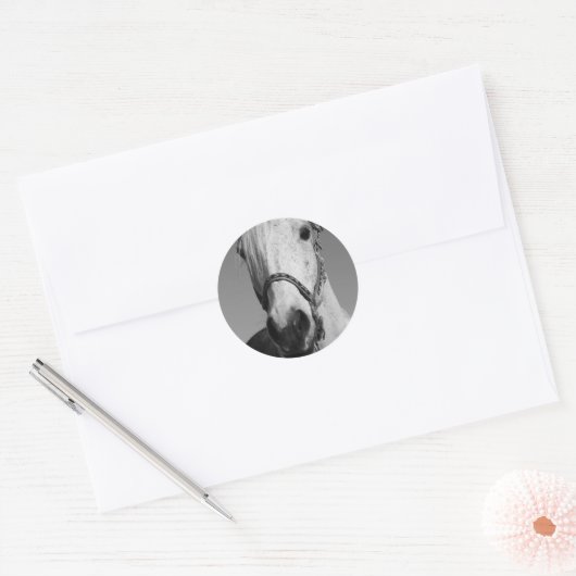 Sticker van witte paarden (Envelop)