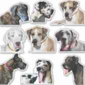 Sticker vellen diverse Great Dane gezichten (Voorkant)
