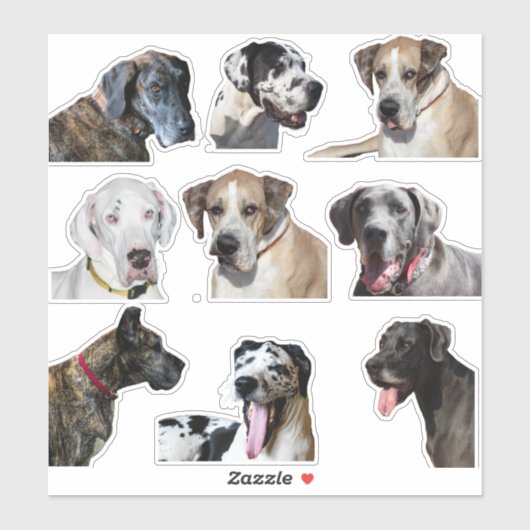 Sticker vellen diverse Great Dane gezichten (Vel)