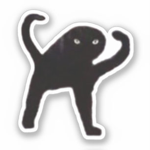 Sticker vervloekt Cat Meme