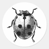 Sticker vintage afbeelding Lieveheersbeestje 20 pe (Voorkant)