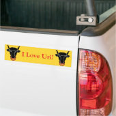 Sticker Vlag van Uri, Zwitserland (Op Truck)