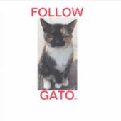 Sticker VOLG GATO2, Alle Petten (Voorkant)
