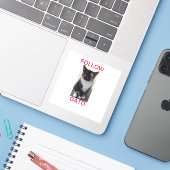 Sticker VOLG GATO2, Alle Petten (Laptop met iPhone)