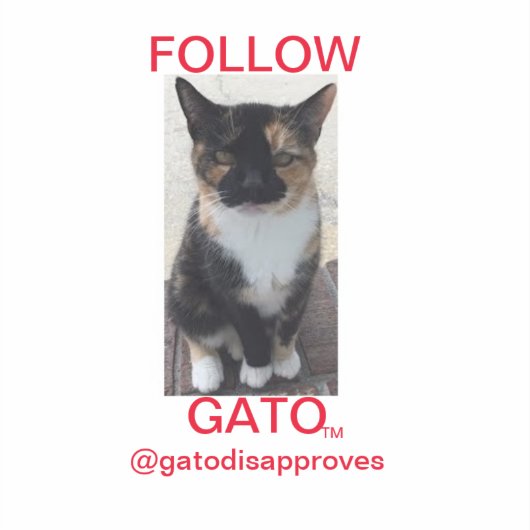 Sticker VOLG GATO, Alle Petten (Voorkant)