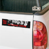 Sticker voor auto's: geen dierproeven (Op Truck)