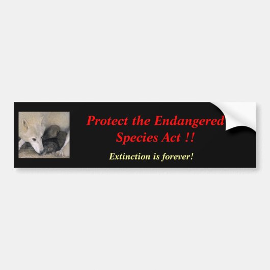 Sticker voor bedreigde diersoorten (Voorkant)