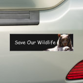 Sticker voor het bewustzijn van dieren in het wild (Op auto)