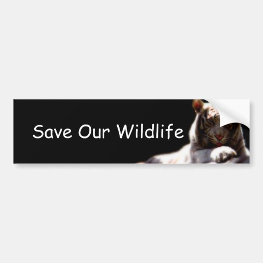 Sticker voor het bewustzijn van dieren in het wild (Voorkant)