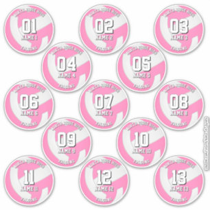 sticker voor meisjes roze volleybalteam 13 atleten