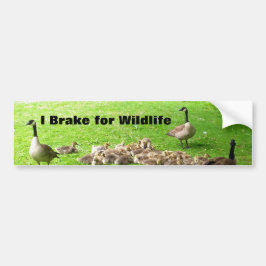 Sticker voor natuur- en wildliefhebbers