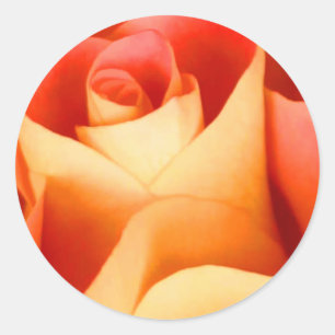 Sticker voor perzikschroefdop Roos