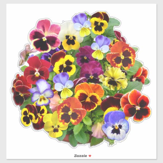  Sticker voor rondzendweergave (Vel)