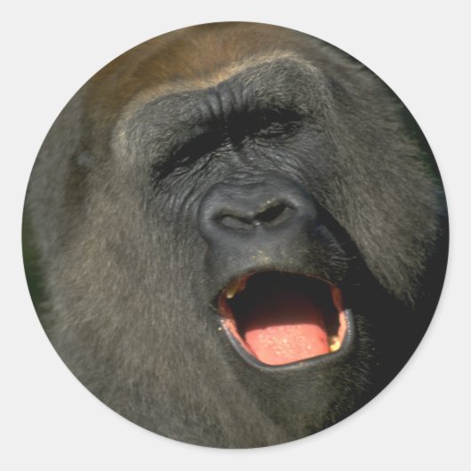 Sticker voor u om uw eigen aangepaste sticker te c (Voorkant)