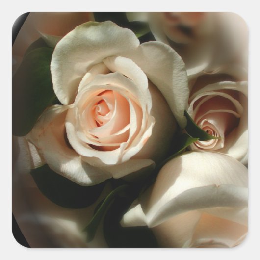 Sticker voor zacht Roos (Voorkant)