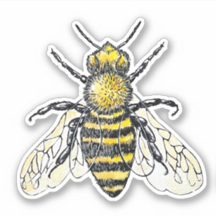 Sticker Waterverf bijen
