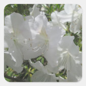 Sticker - White Azaleas (Voorkant)